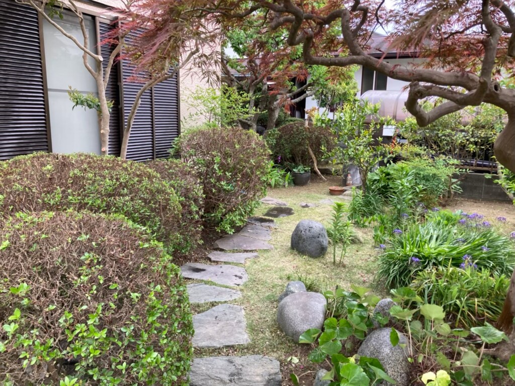 低木や下草の手入れにより、日本庭園に特有の飛石や石組みの美しさが蘇ります。