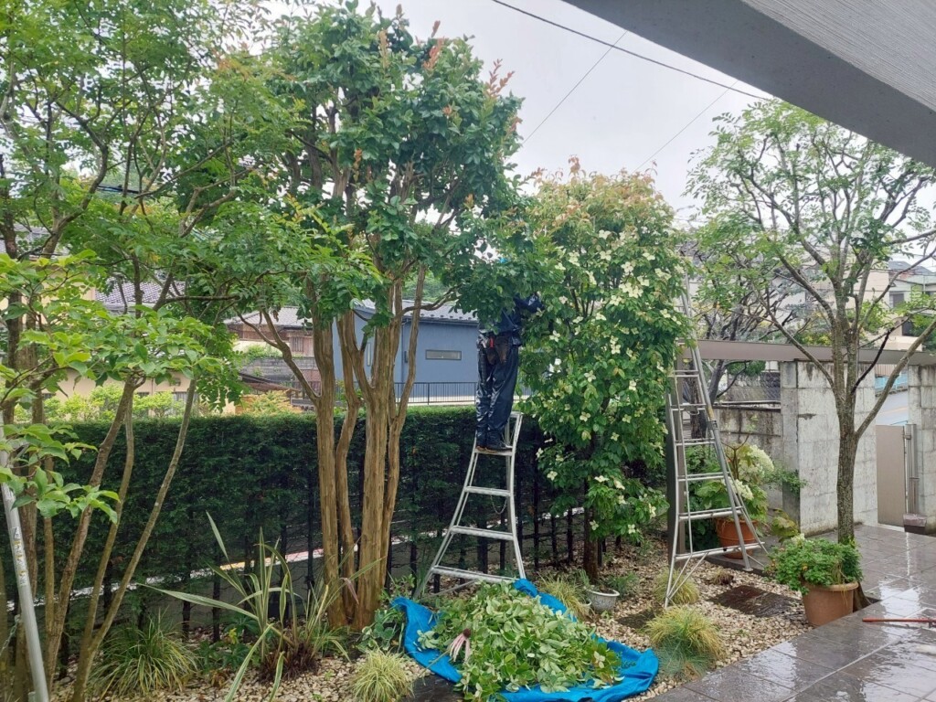 春の植栽管理、刈り込み