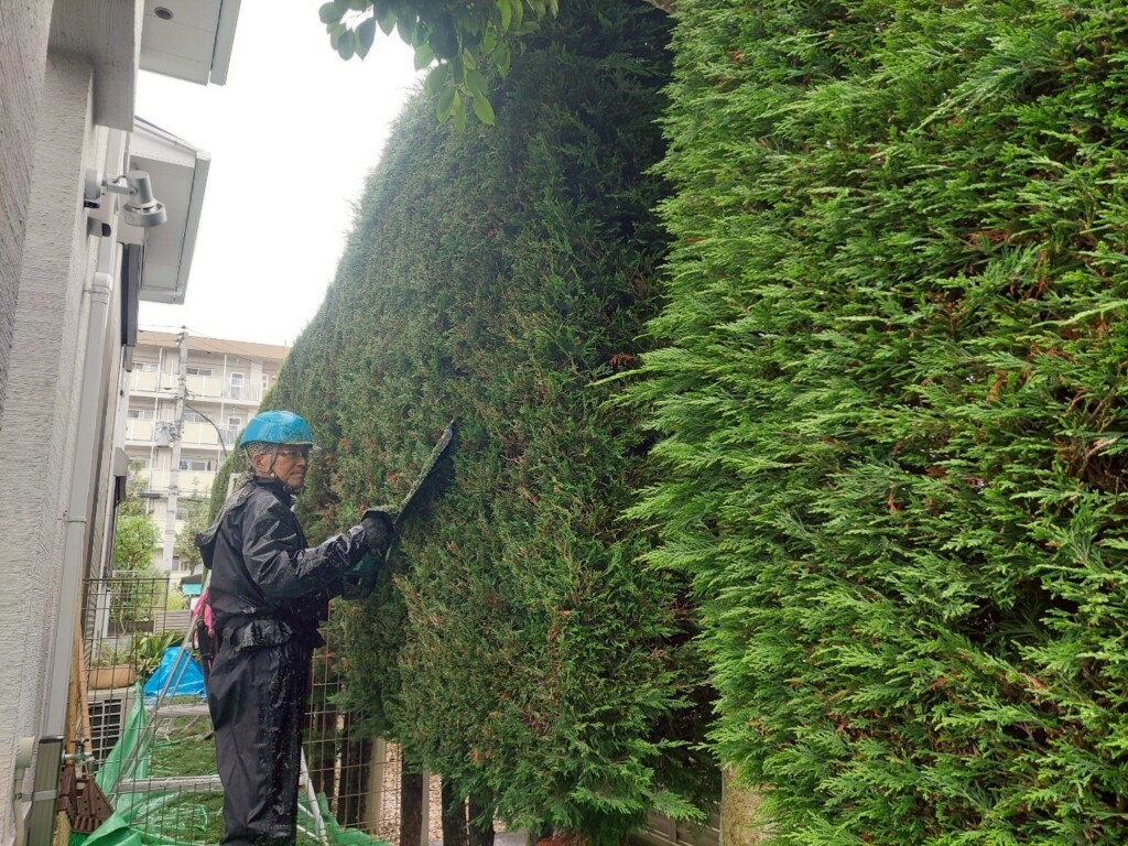 垣根、生垣の手入れ、病害虫予防