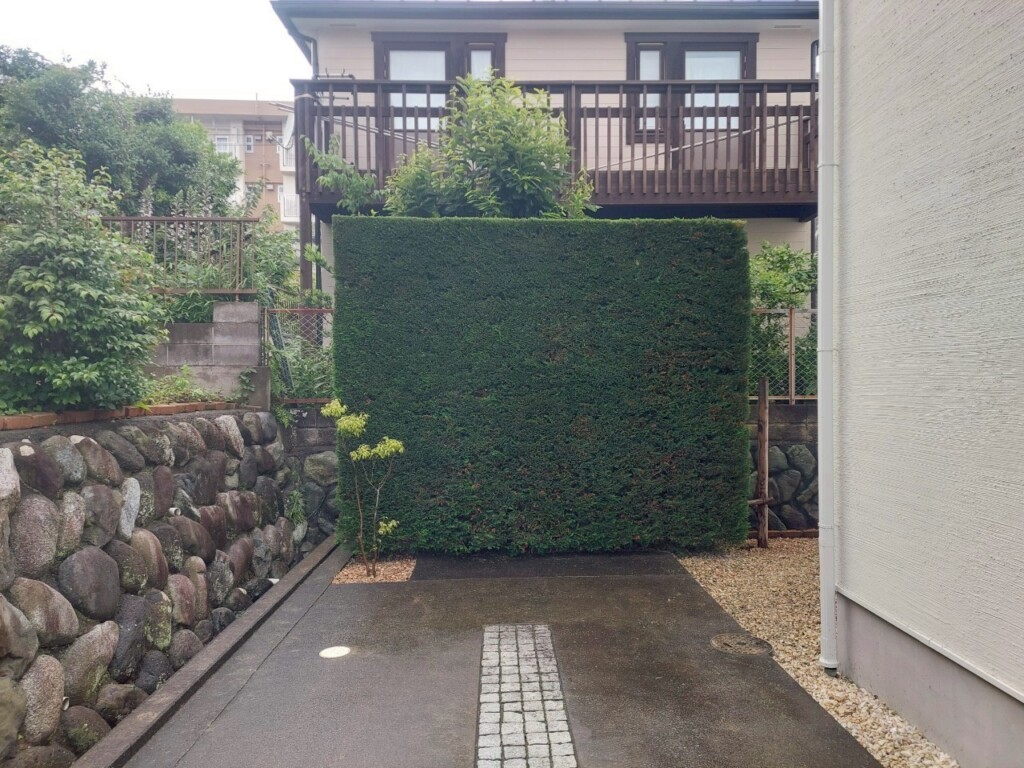 垣根、生垣の刈り込み