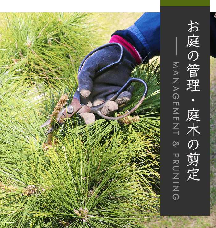 お庭の管理・庭木の剪定 MANAGEMENT & PRUNING