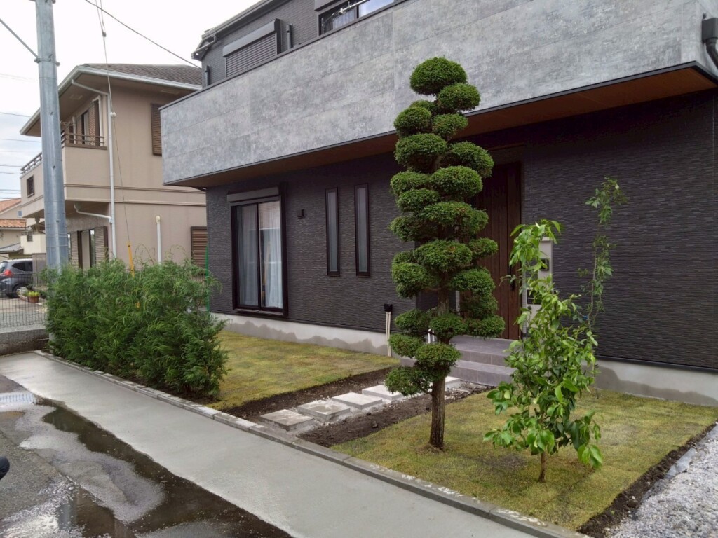 機能的で美しいランドスケープの庭