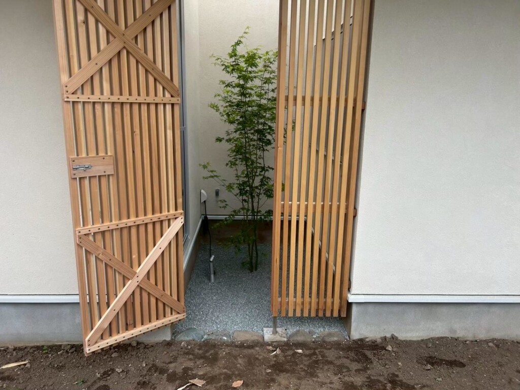 モミジ植栽