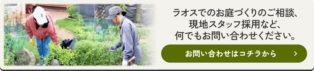 ラオスでのお庭づくりのご相談、現地スタッフ採用など、何でもお問い合わせください。